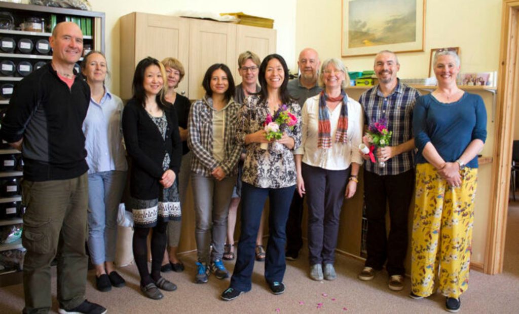 apprenticeship model