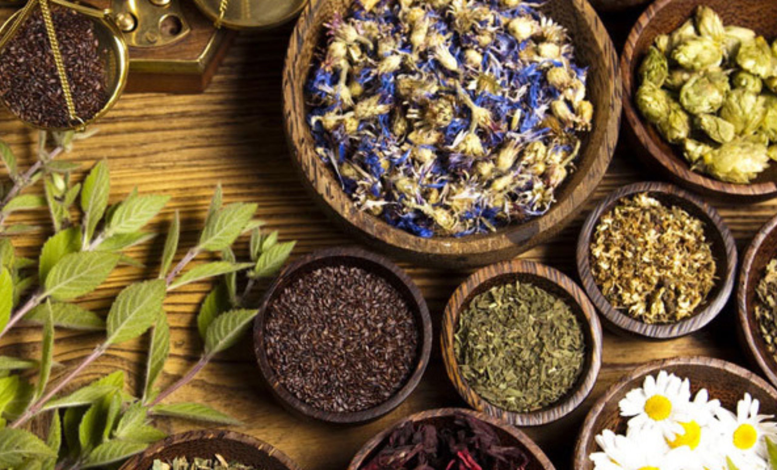 accreditation process